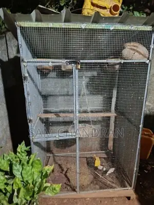 Cage for Birds
