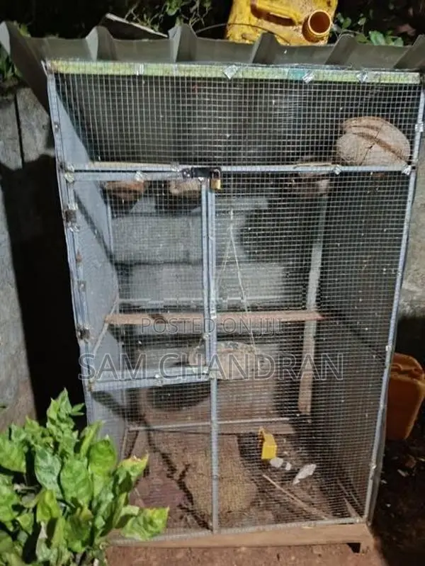 Cage for Birds