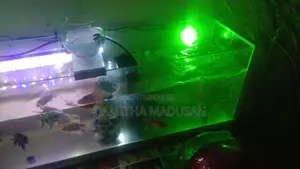 Fish Tank