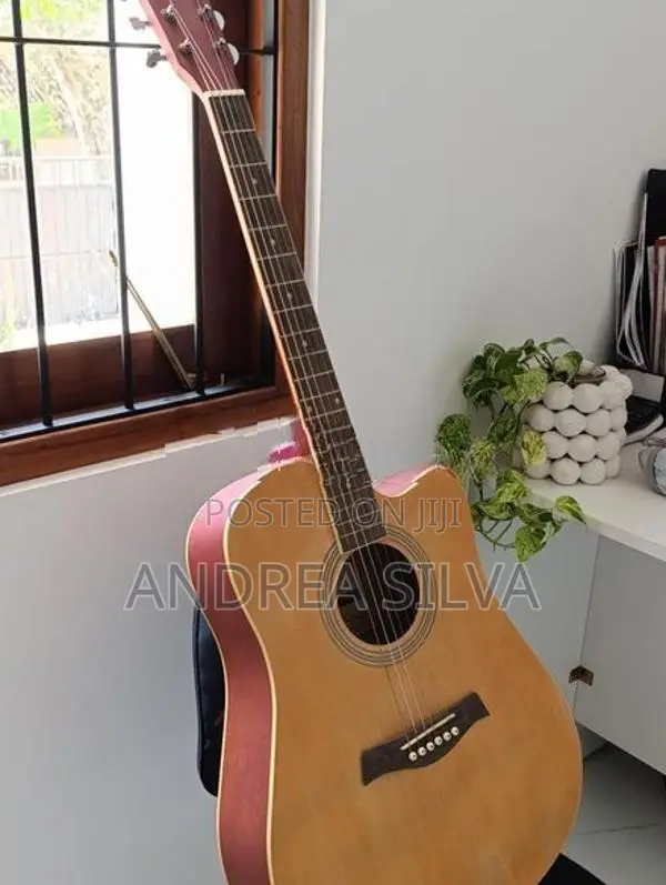 Guitar