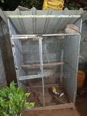 Cage for Birds