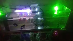 Fish Tank