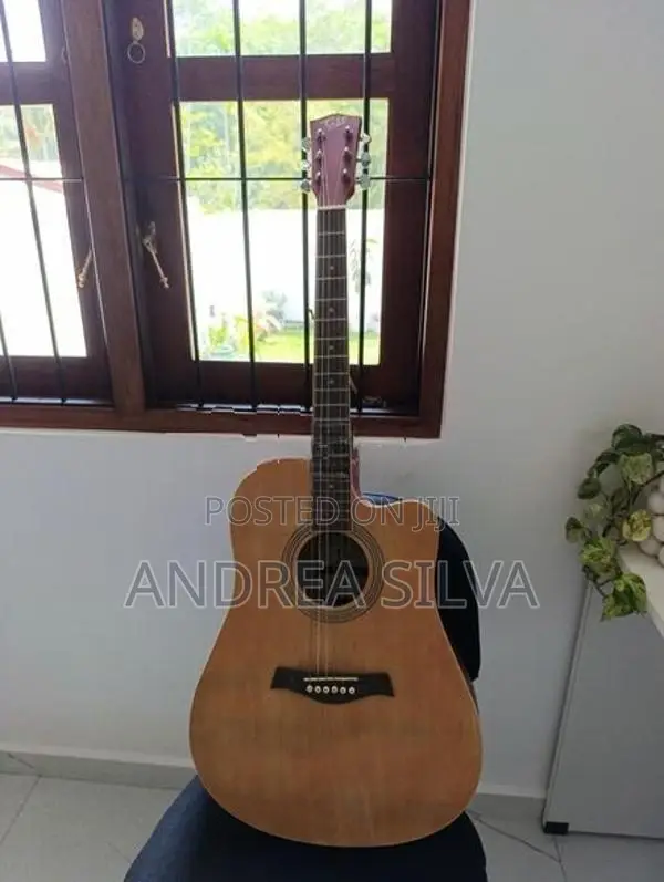 Guitar