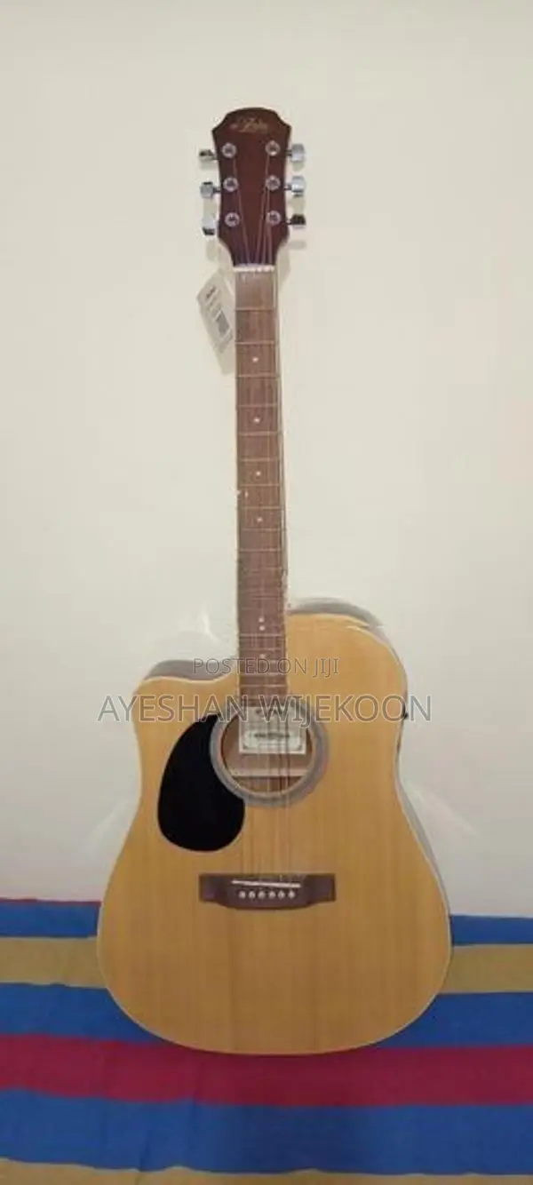 Electric Box Guitar