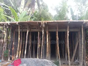 සැටලිම