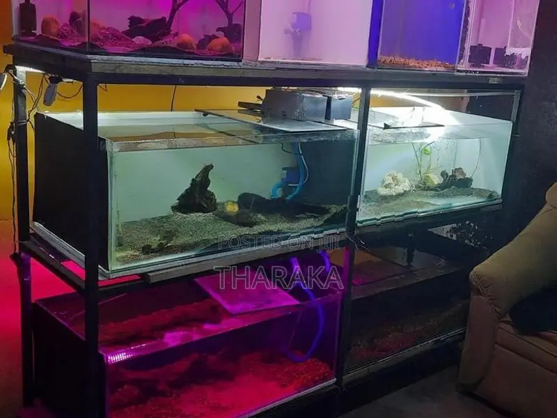 8 Tanks with A Iron Rack