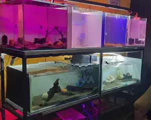 8 Tanks with A Iron Rack