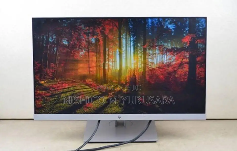 HP E243 24inch FRAMELESS Monitor Japan
