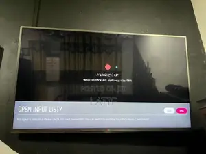 48-inch LG TV