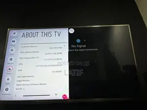 48-inch LG TV