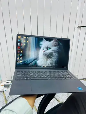 Dell laptop
