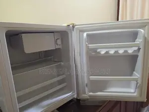 LMG Mini Fridge 45L
