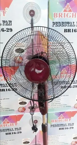 Stand Fan