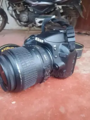 D3100