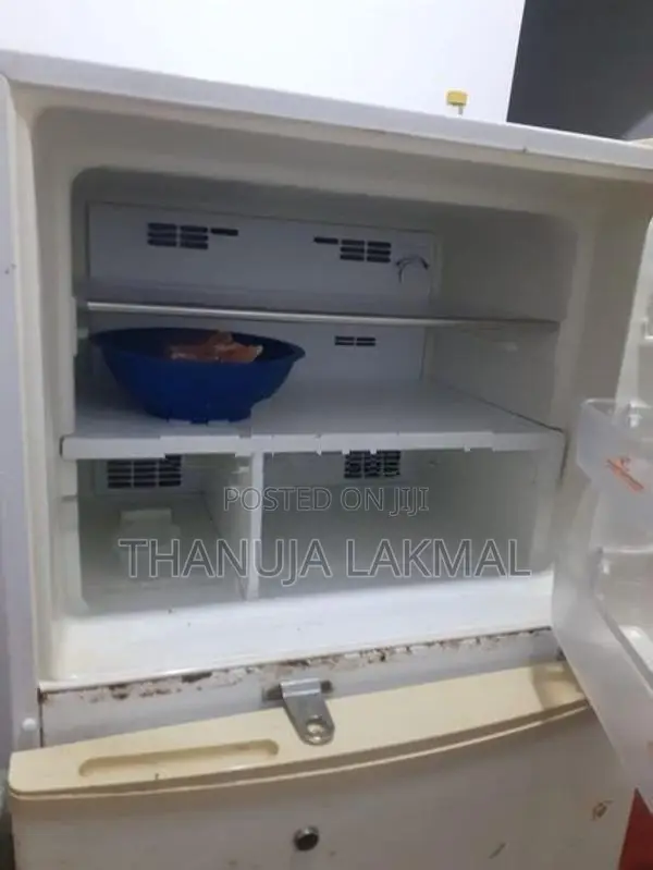Singer Fridge