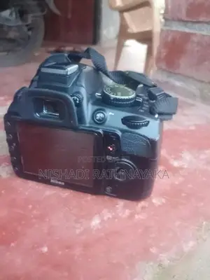 D3100