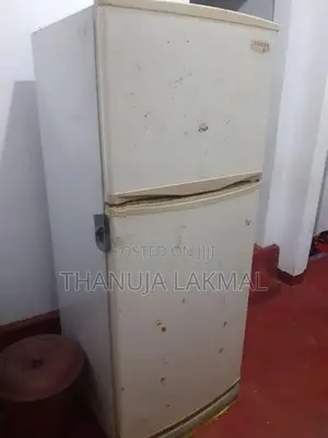 Singer Fridge