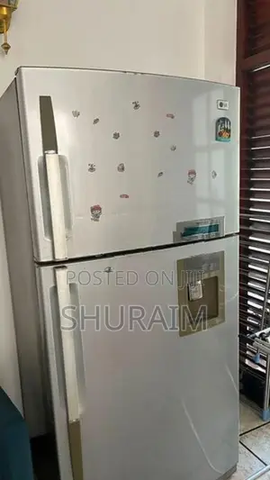 LG Double Door Fridge