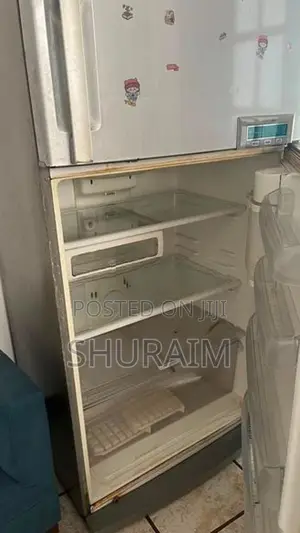 LG Double Door Fridge