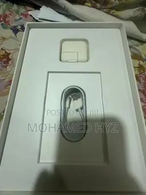 ipad air 2 charger 10w