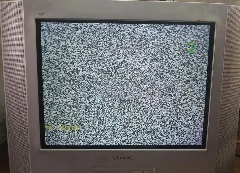 21" Sony TV