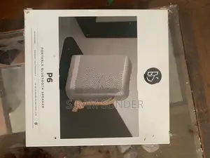 bang with olufsen P6 Bluetooth speaker