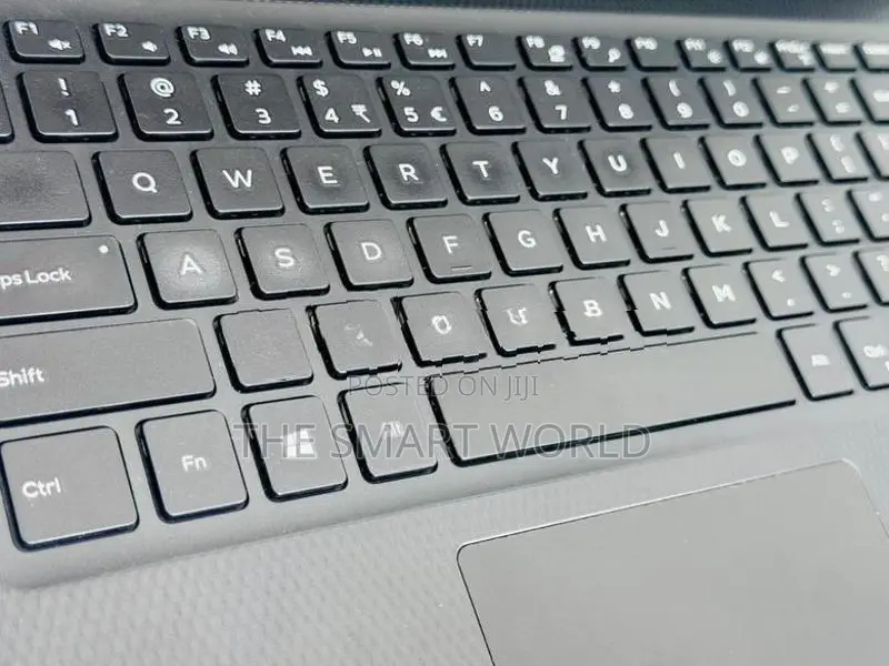 Dell Inpiron Core i3 10th Gen 8GB RAM 256GB NVMe Professional Laptop