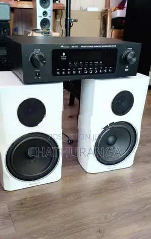 Professional Karoake system Speaker