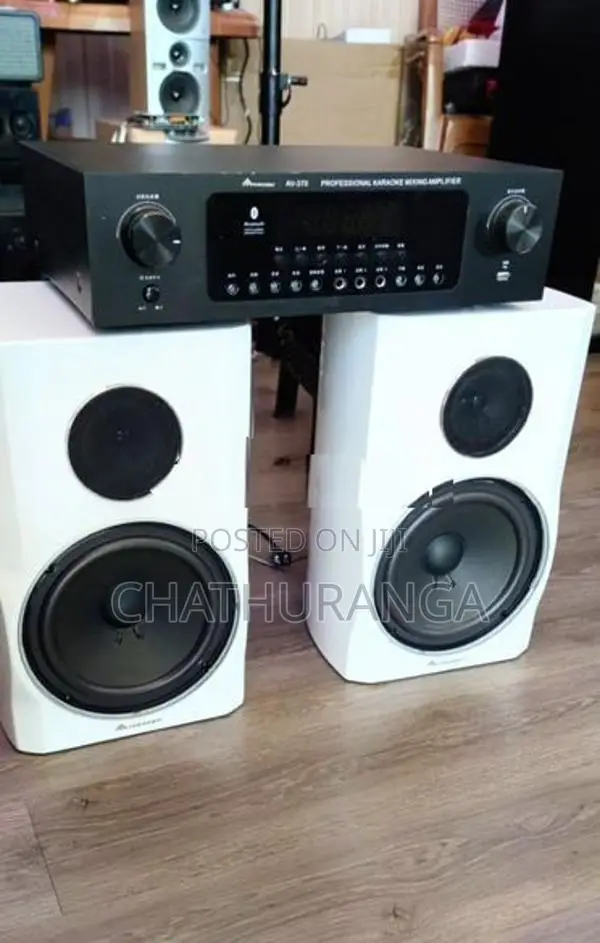 Professional Karoake system Speaker