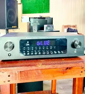 Professional Karoake system Speaker