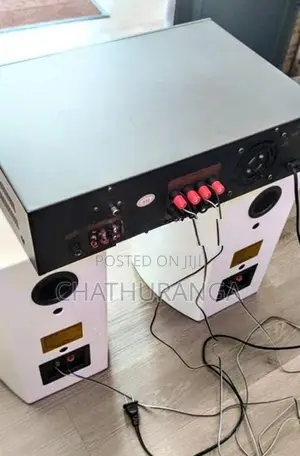 Professional Karoake system Speaker