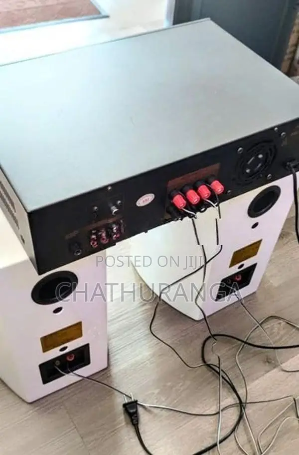 Professional Karoake system Speaker