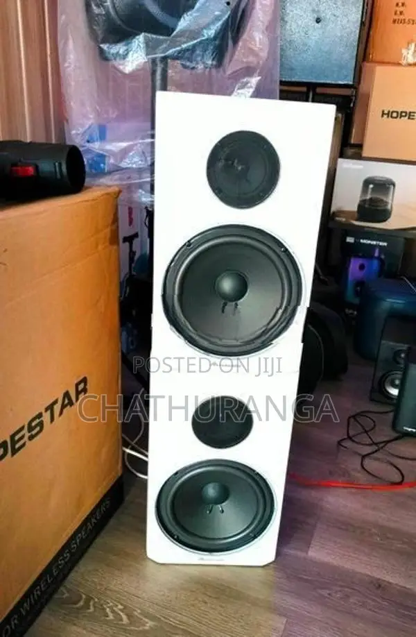 Professional Karoake system Speaker
