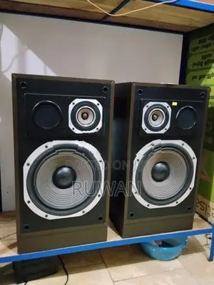 Trio Kenwood 12" speaker