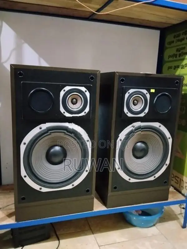 Trio Kenwood 12" speaker