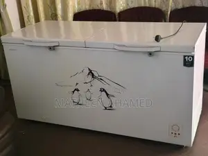 Hisense deep freezer 650L