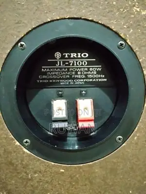 Trio Kenwood 12" speaker