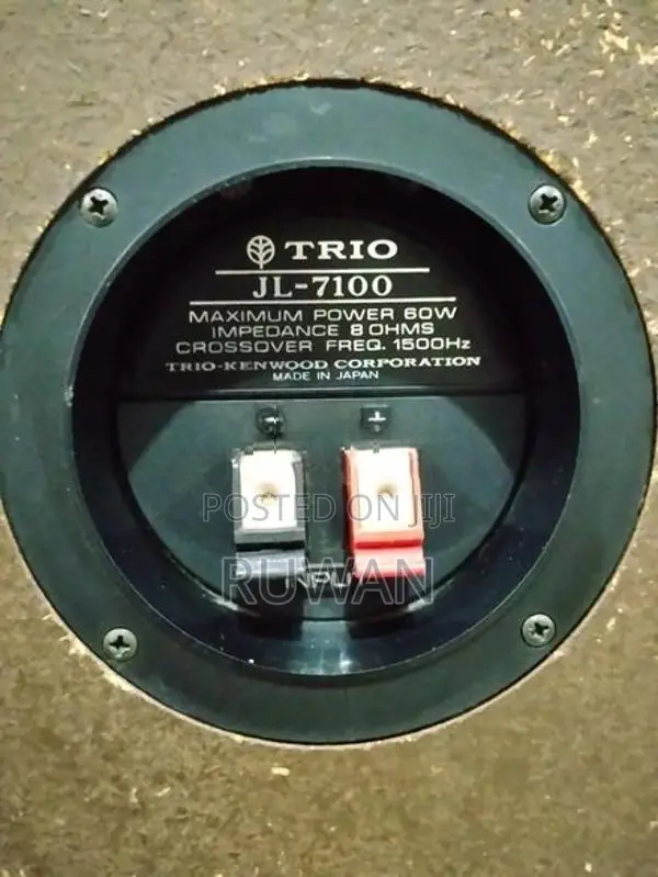 Trio Kenwood 12" speaker