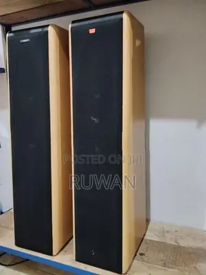 Fisher Tower speaker
