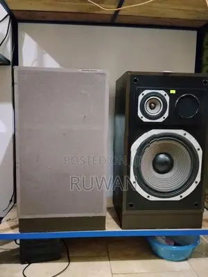 Trio Kenwood 12" speaker