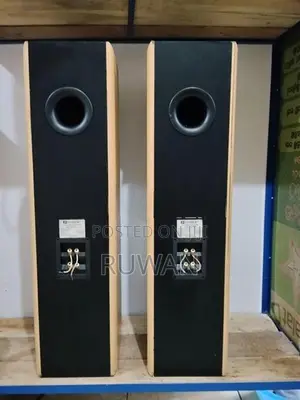 Fisher Tower speaker