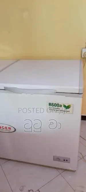 Singer Hard Top Deep Freezer 343 L