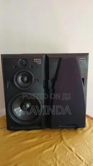 Pioneer Speaker Buffel