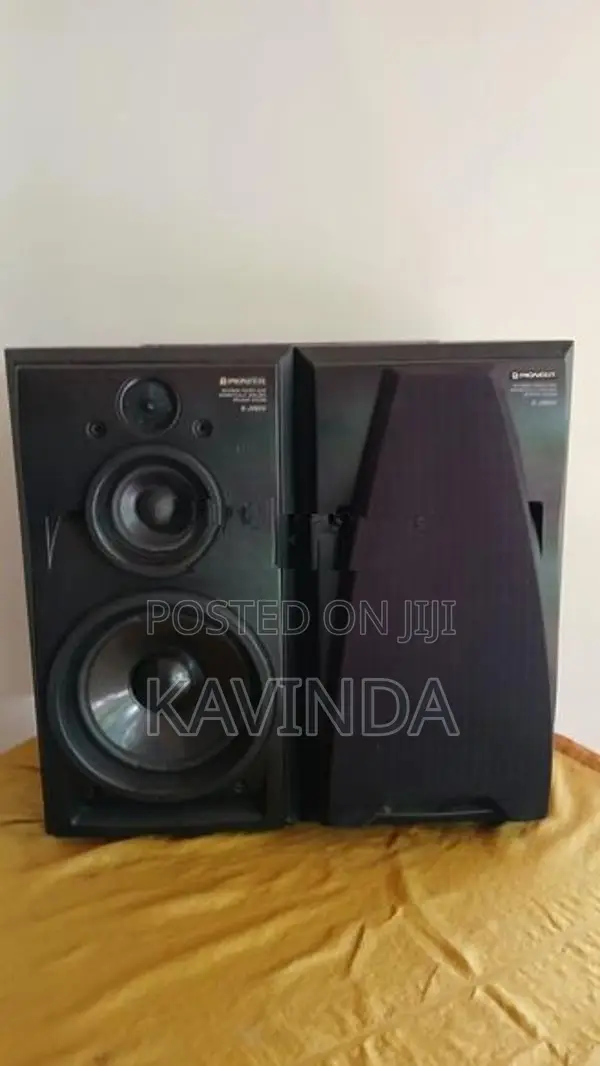 Pioneer Speaker Buffel