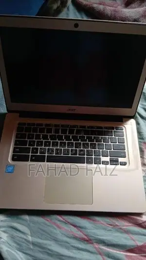 Acer ChromeBook Laptop