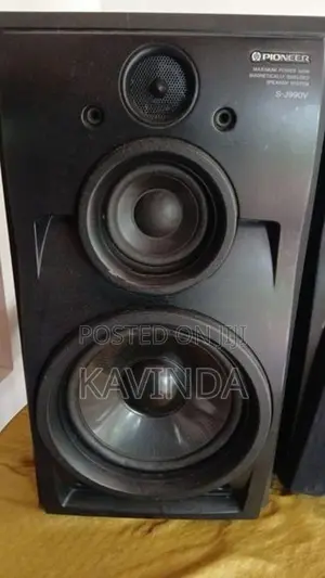 Pioneer Speaker Buffel