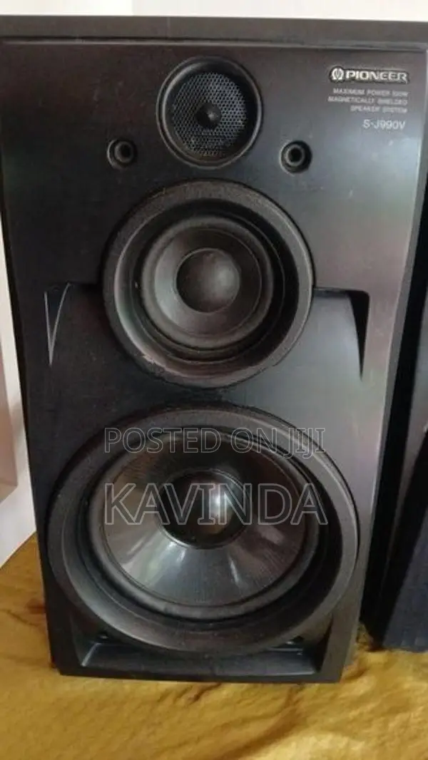Pioneer Speaker Buffel