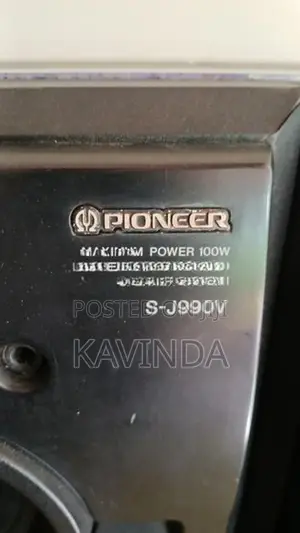 Pioneer Speaker Buffel