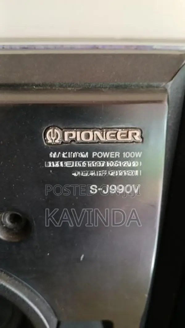 Pioneer Speaker Buffel