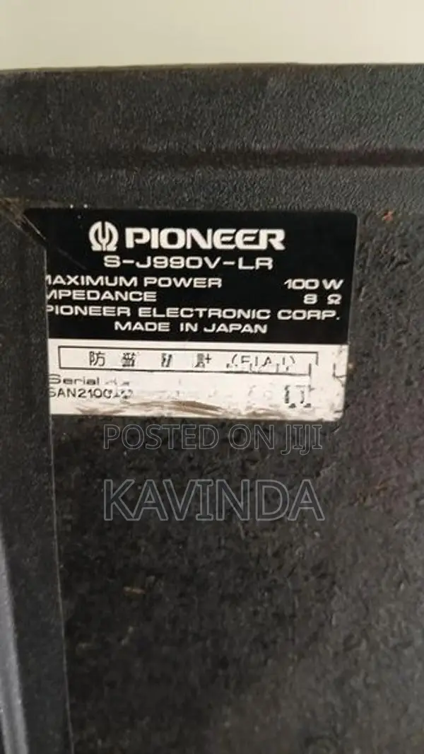 Pioneer Speaker Buffel